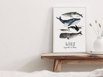 Print / Wale