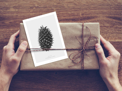 Postkarte / Tannenzapfen No. 3