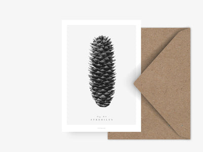 Postkarte / Tannenzapfen No. 4