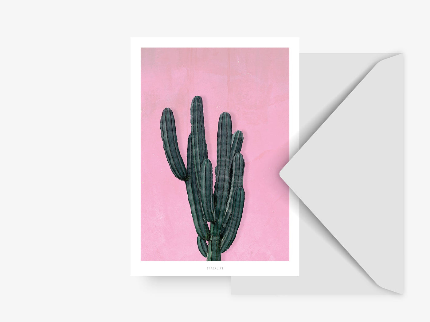 Postkarte / Kaktus No. 1