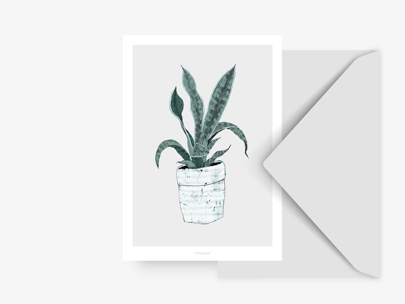 Postkarte / Wallplant No. 2