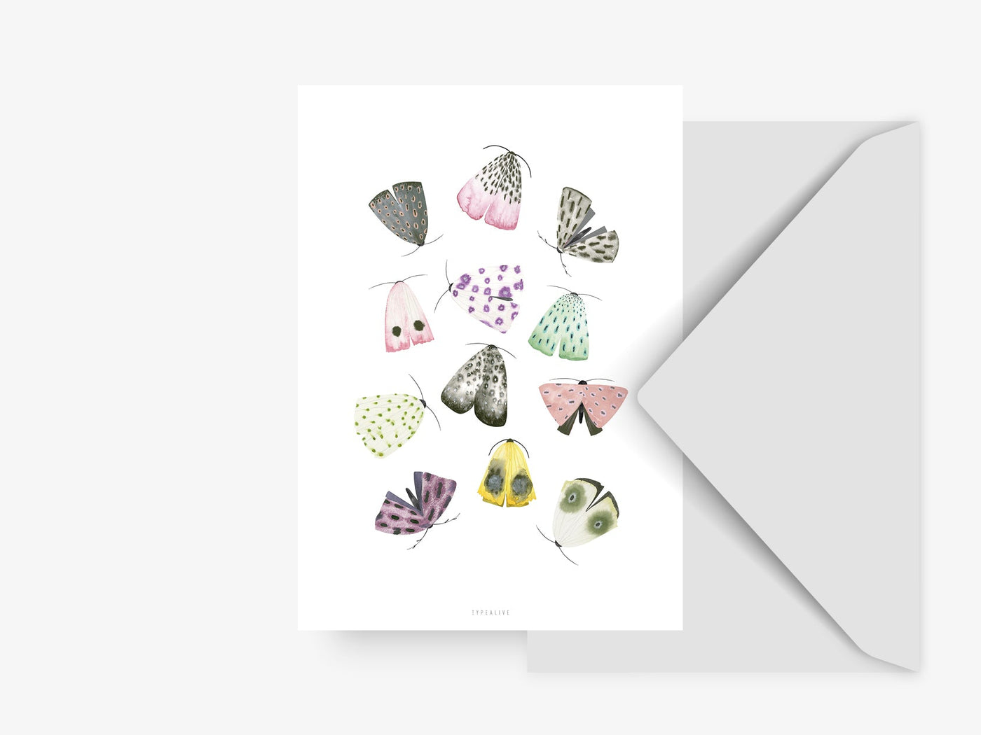 Postkarte / Moths