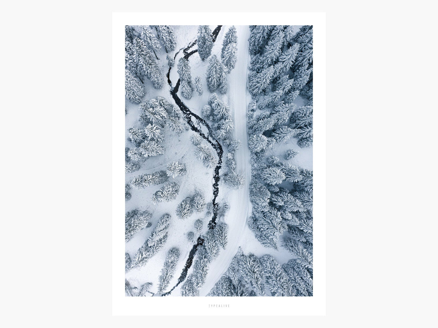 Print / Above The Woods No. 6